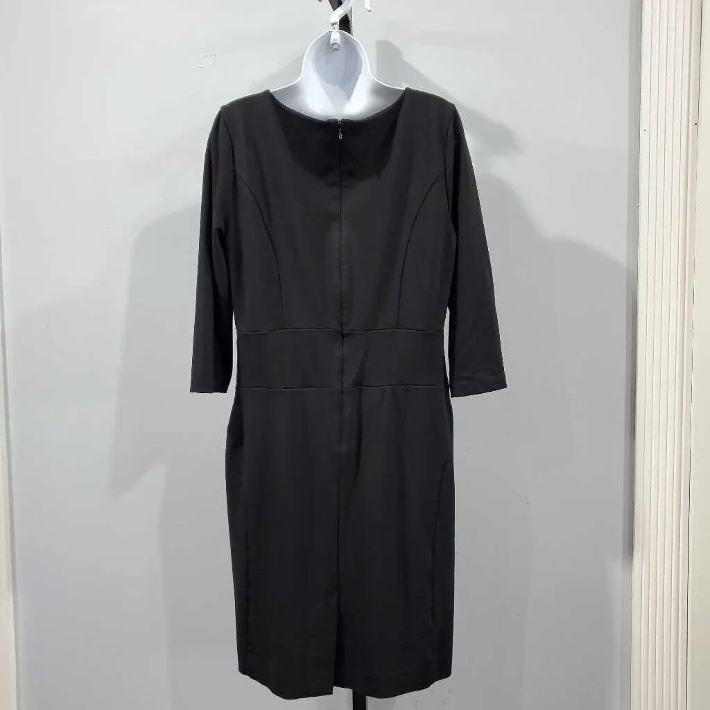 Ann Taylor Dress 10