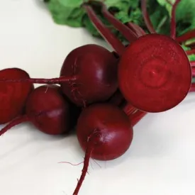 Beet - Robin Hybrid Baby Beet (Seeds)