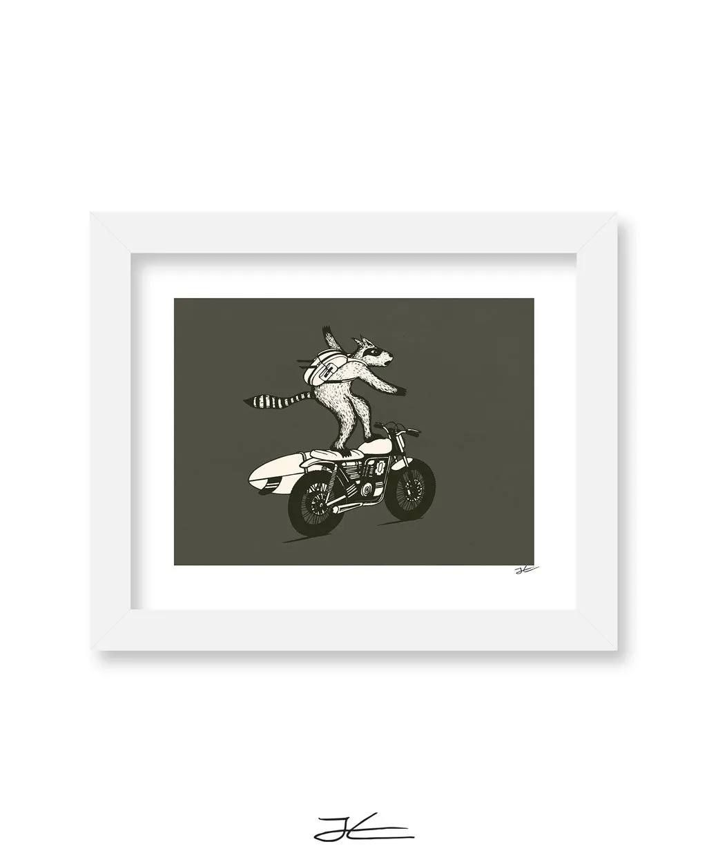 Radical Raccoon - Print/ Framed Print