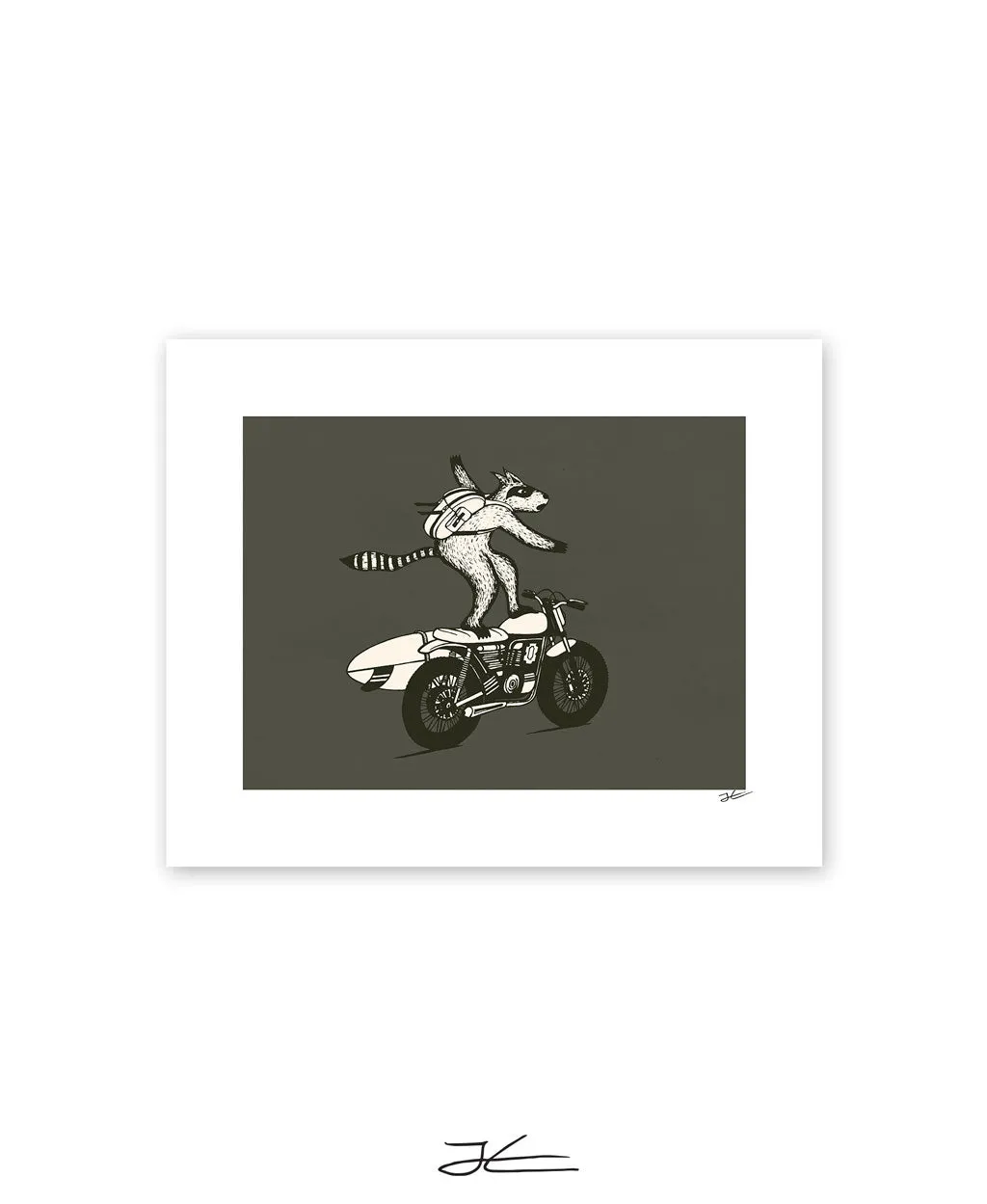 Radical Raccoon - Print/ Framed Print