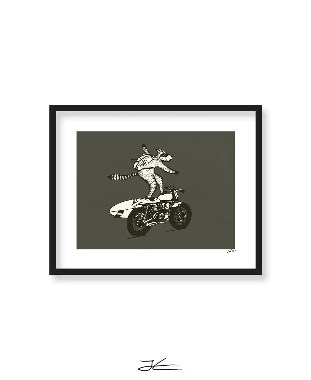 Radical Raccoon - Print/ Framed Print